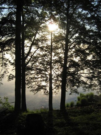 Black Lake Cabins Muskoka Compare Deals