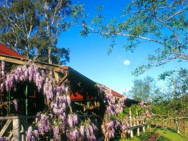 Cedar Creek Cottages Hunter Valley Photos Reviews Deals