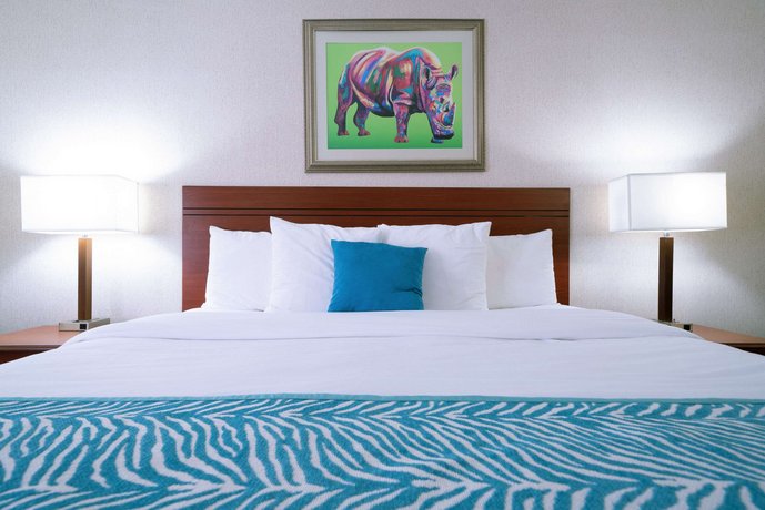 Comfort Inn At The Zoo Omaha Compare Deals