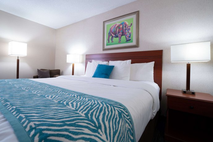Comfort Inn At The Zoo Omaha Compare Deals