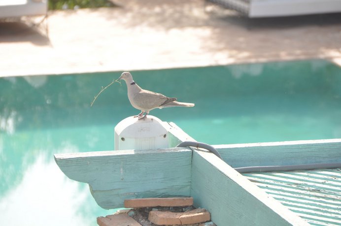 Riad Jawad Hotel Marrakech