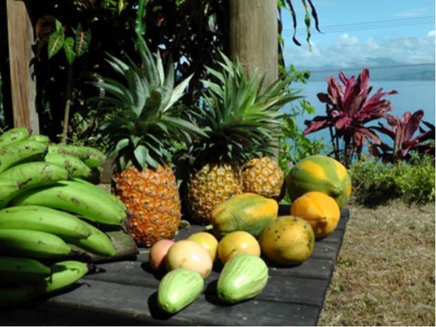 Gecko Lodge Fiji