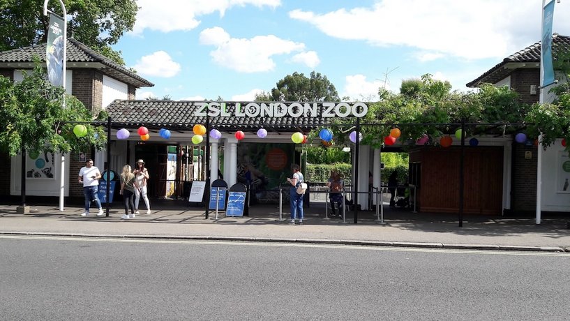 아메리카나 호텔, Americana Hotel