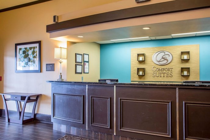 Comfort Suites Schiller Park Chicago O Hare Airport Compare