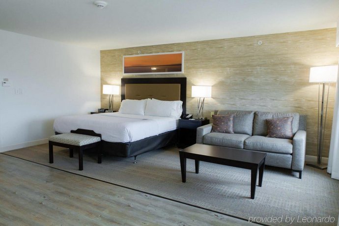 Holiday Inn Hotel Suites Bloomington Airport Bloomington - 