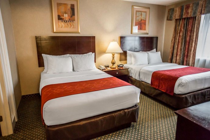 Comfort Suites Chicago Oakbrook Terrace Compare Deals