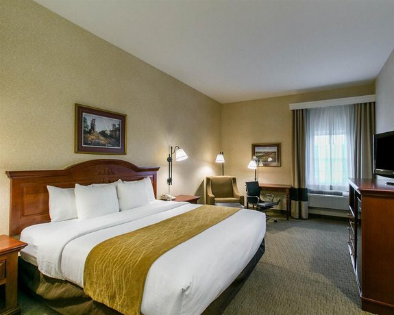 Comfort Inn Warrensburg Station Compare Deals