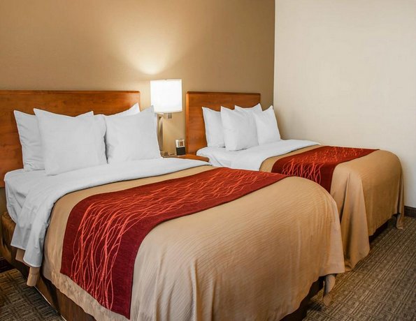 Comfort Inn Dickinson Compare Deals