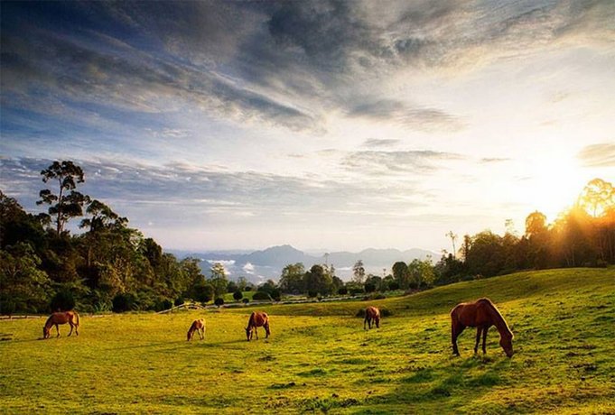 Borneo Highlands Resort Kalimantan Compare Deals