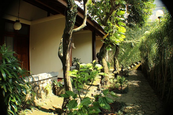 Rumah Mertua Boutique Hotel Restaurant Yogyakarta - 