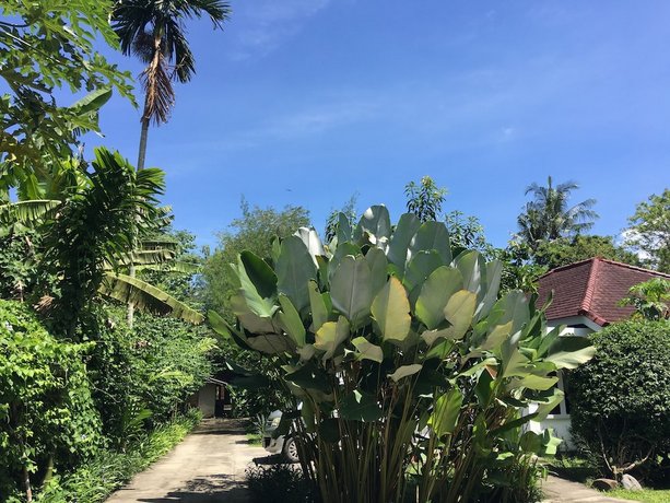 Promo 75 Off Pondok Anggrek Putih  Homestay Indonesia 