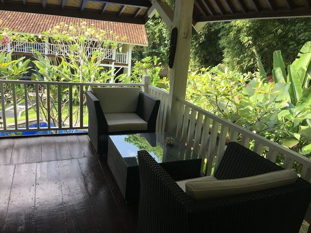 Promo 75 Off Pondok Anggrek Putih  Homestay Indonesia 