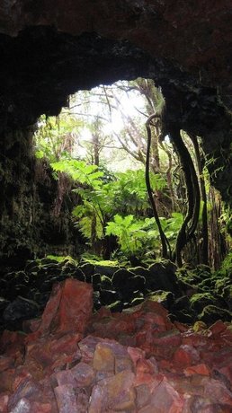 Volcano Mist Cottage Compare Deals