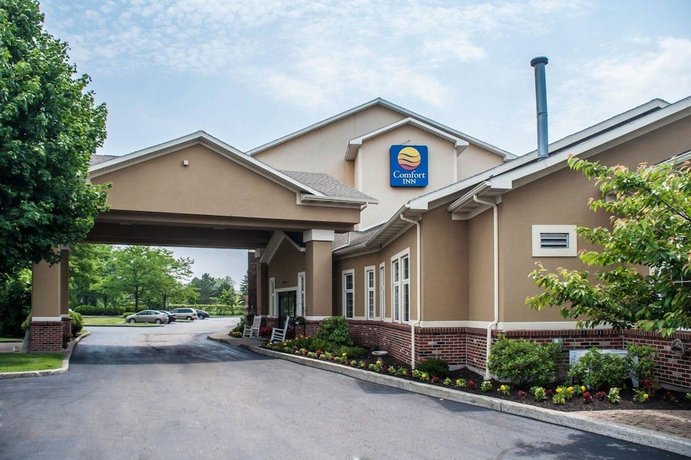 Comfort Inn University Buffalo Compare Deals