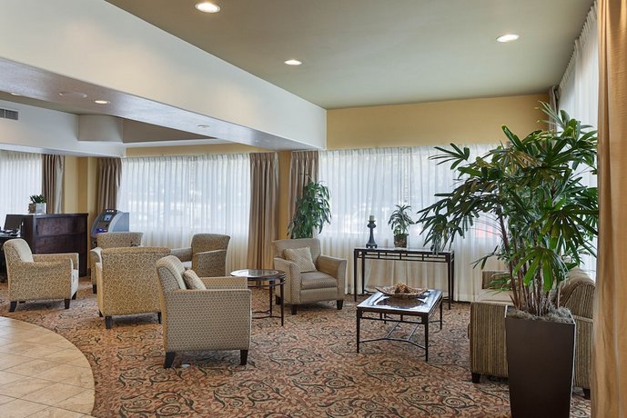 Comfort Suites Medical Center Near Six Flags San Antonio