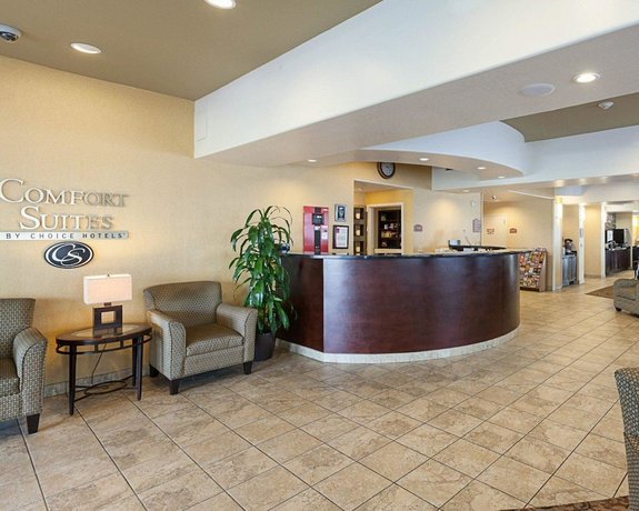 Comfort Suites Medical Center Near Six Flags San Antonio
