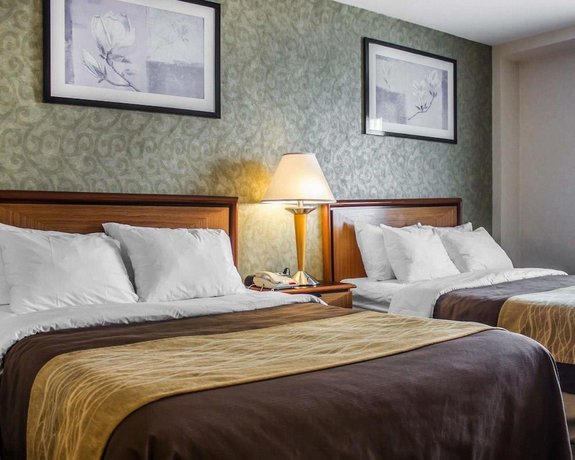Comfort Inn Brooklyn New York City Compare Deals