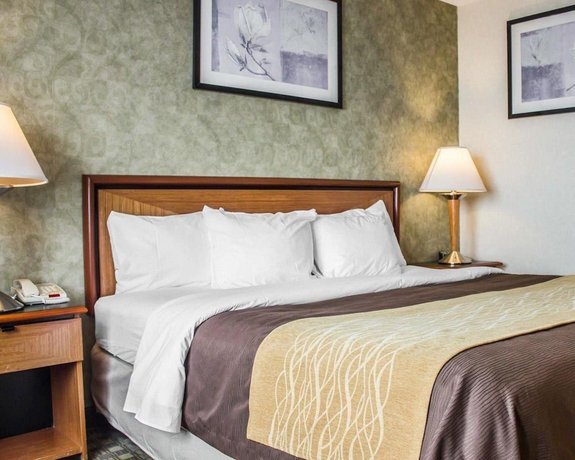 Comfort Inn Brooklyn New York City Compare Deals