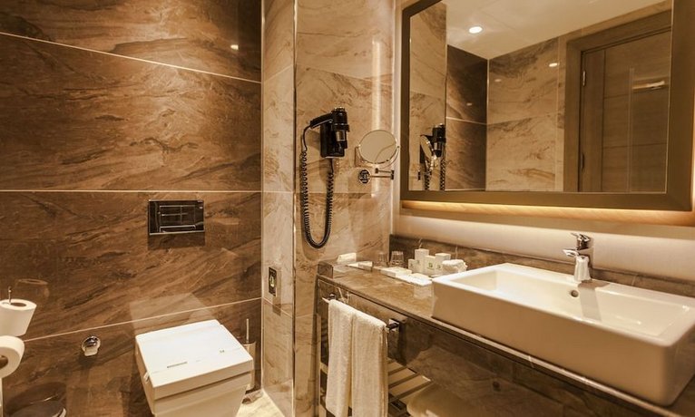 Holiday Inn Kayseri - Duvenonu