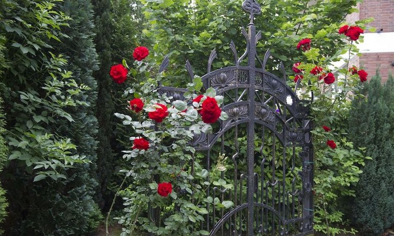 Boutiquehotel Dreesen - Villa Godesberg