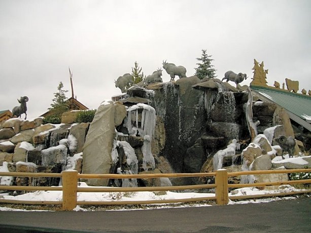 Hibernation Station