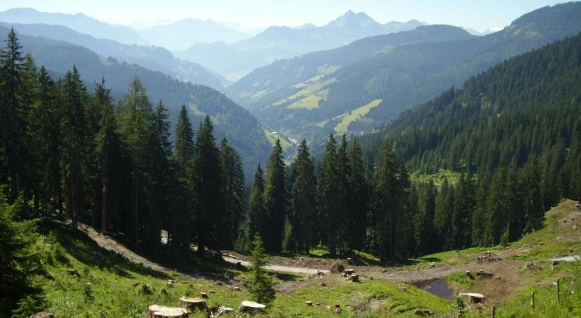 Chesa Montana