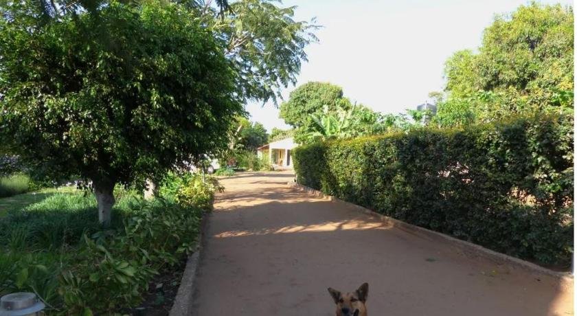 Ancha's Oasis