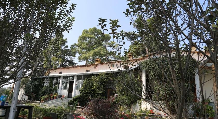 Deodar Homestay
