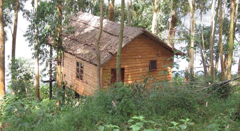 Itambira Island, Seeds of Hope