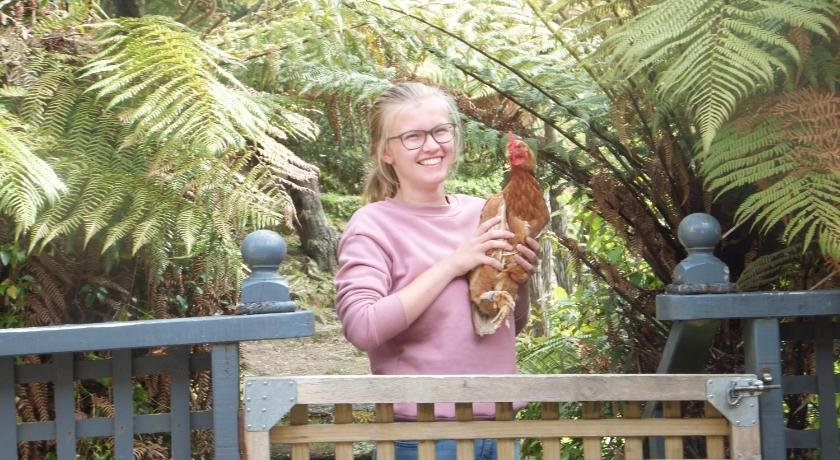 Little Paradise & Petting Farm
