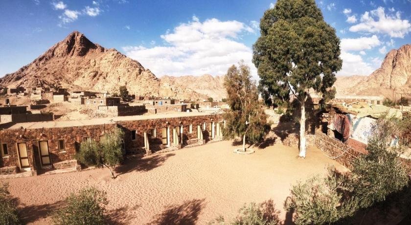 Sheikh Mousa Bedouin camp
