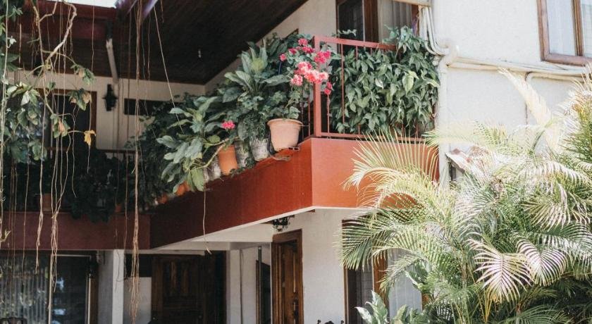 Hotel Javy