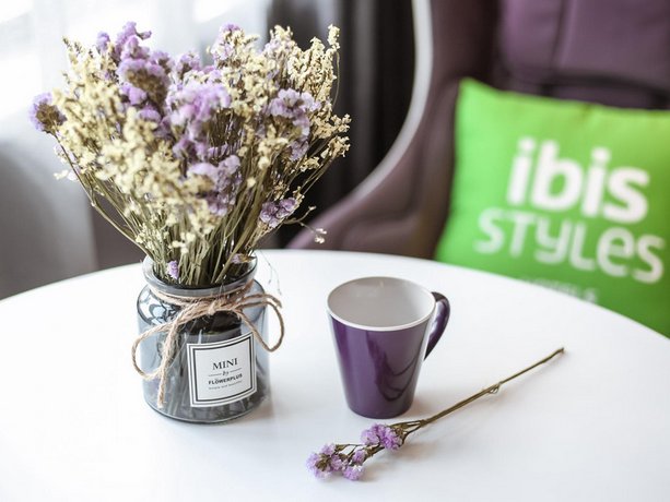 Ibis Styles Nanjing South Railway Station North Square Hotel