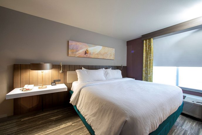 Hilton Garden Inn Rapid City