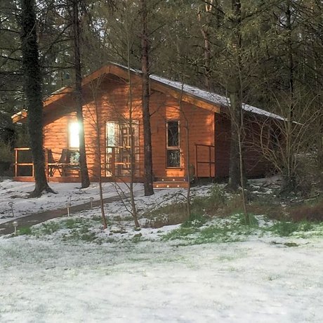 Butterfly cabin