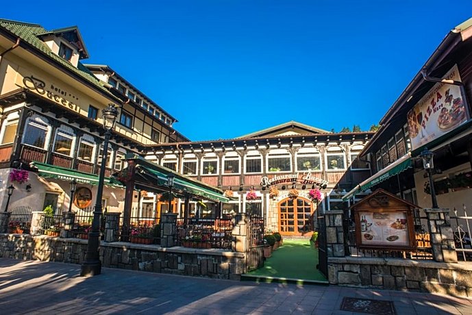 Hotel Bucegi