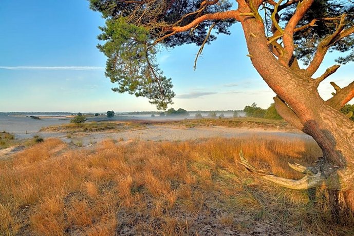 Dreamzzz Boutique B&b Kaatsheuvel