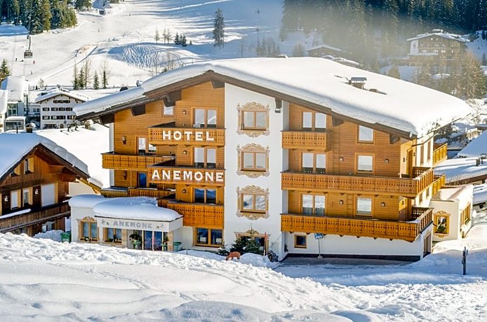 Hotel Anemone