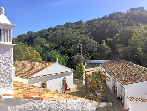 Farmhouse Of The Palms