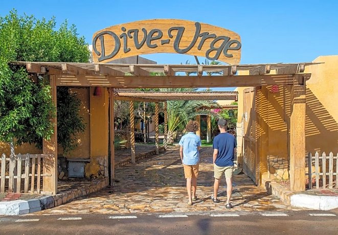 Dive Urge