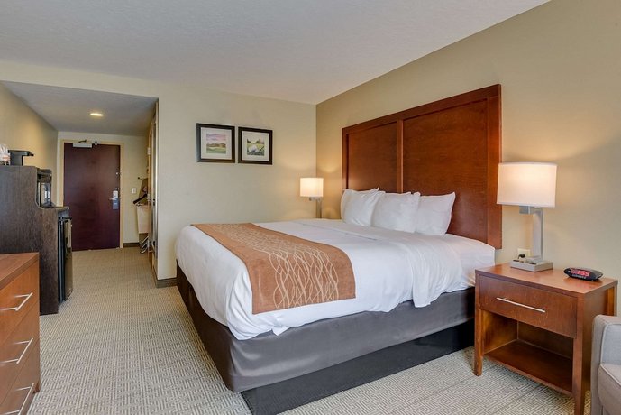 Comfort Inn and Suites Augusta Fort Eisenhower Area