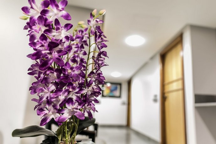 Savassi Hotel