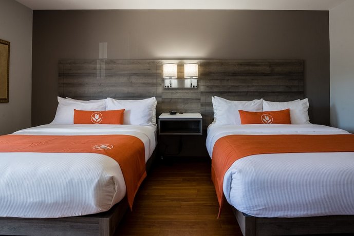 Amsterdam Inn & Suites Moncton