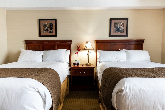 Welcominns Ottawa