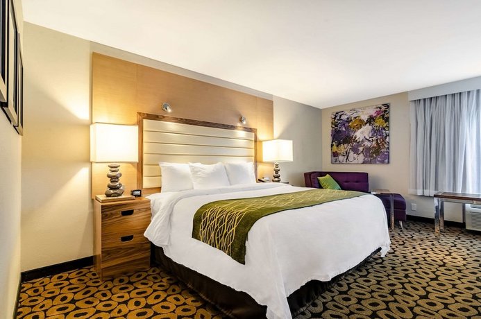 Comfort Inn Raleigh Midtown