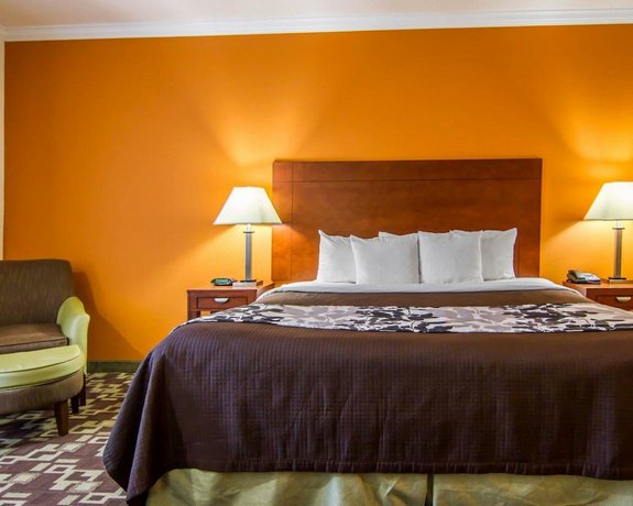 Sleep Inn & Suites I-20