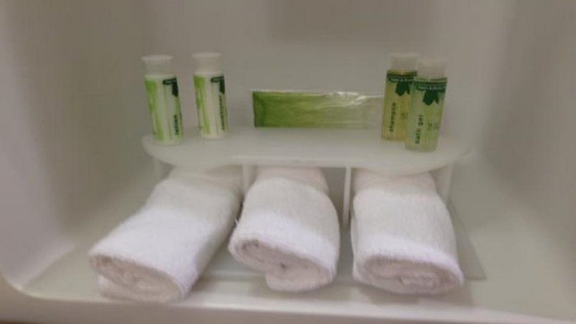 Holiday Inn Express & Suites Des Moines Downtown
