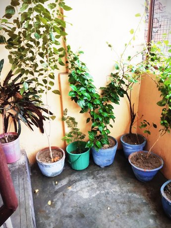Family Guest House Varanasi