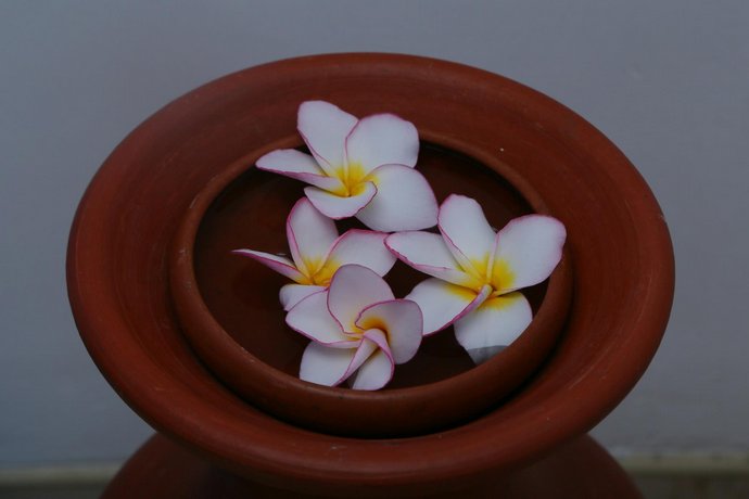 Dinsara Pearl Villa