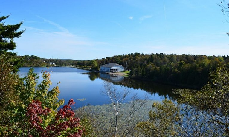 Best Western Plus Saint John Hotel & Suites